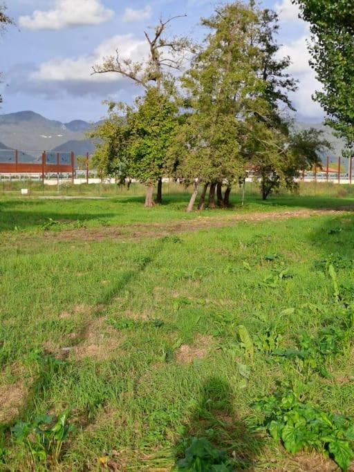Appartamento Rossana - Luni Marinella di Sarzana Dış mekan fotoğraf